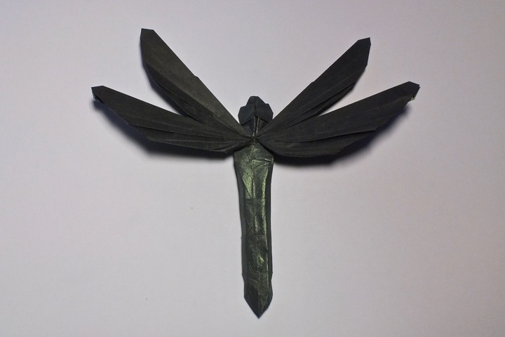 2. Simple dragonfly (Shuki Kato)