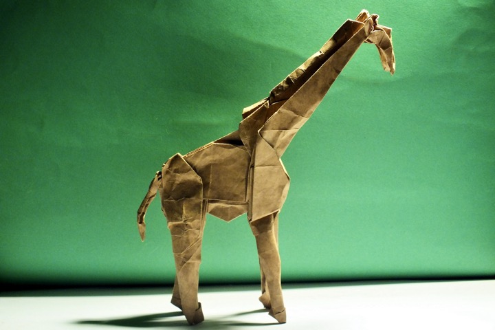 13. Giraffe (Shuki Kato)