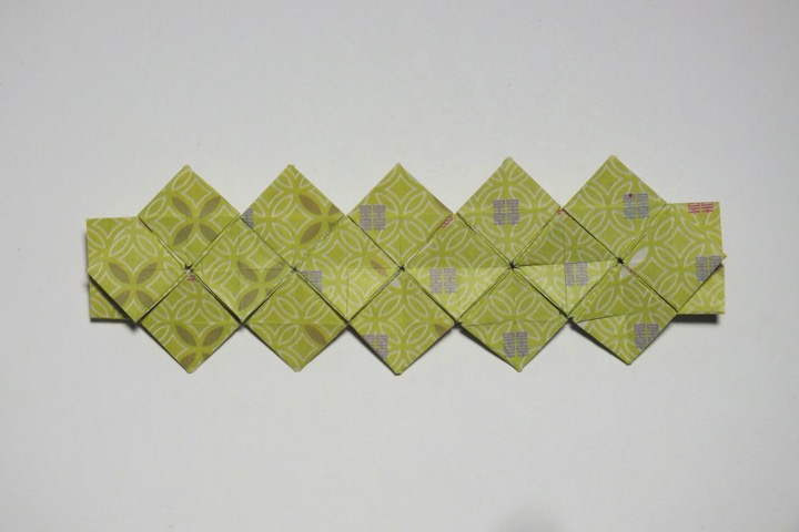 11.3. 5 series of hydrangea (S. Fujimoto)