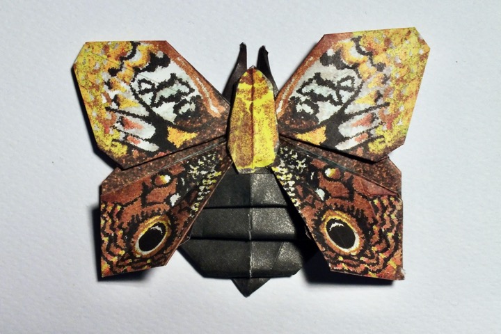 9. Sino-korean owl moth (Roman Diaz)
