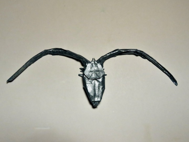 44. Acantocino (Manuel Sirgo)