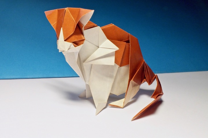 4. Cat (Kyouhei Katsuta)