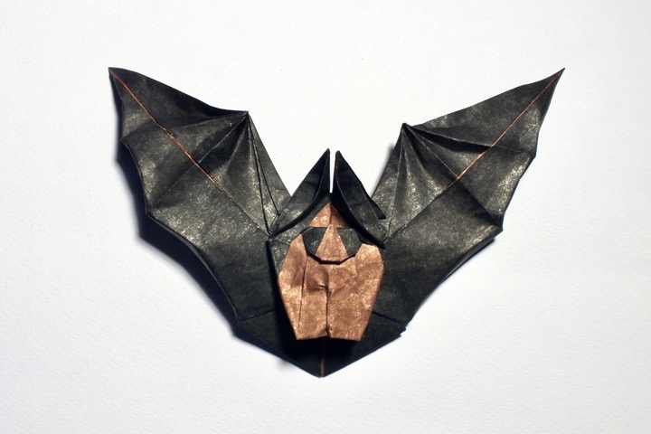 7. Greater horseshoe bat (S. Limet)