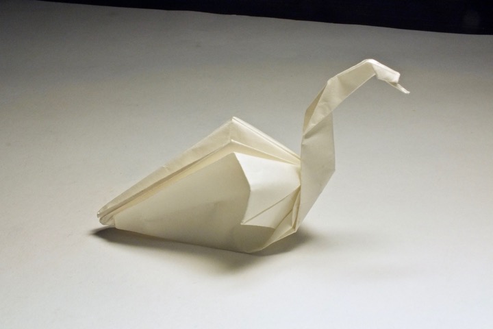 28. Swan (Patricia Crawford)