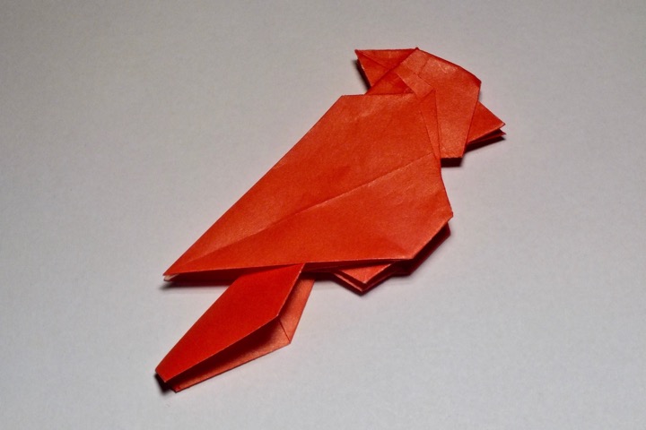 51. Cardinal (Alice Gray)