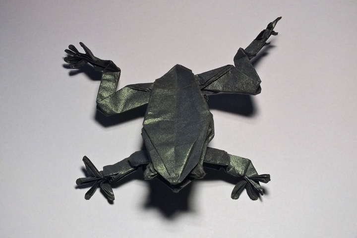 11. Tree frog (Robert J. Lang)