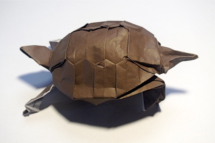 14. Western pond turtle (Robert J. Lang)
