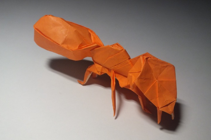6. Ant (Robert J. Lang)