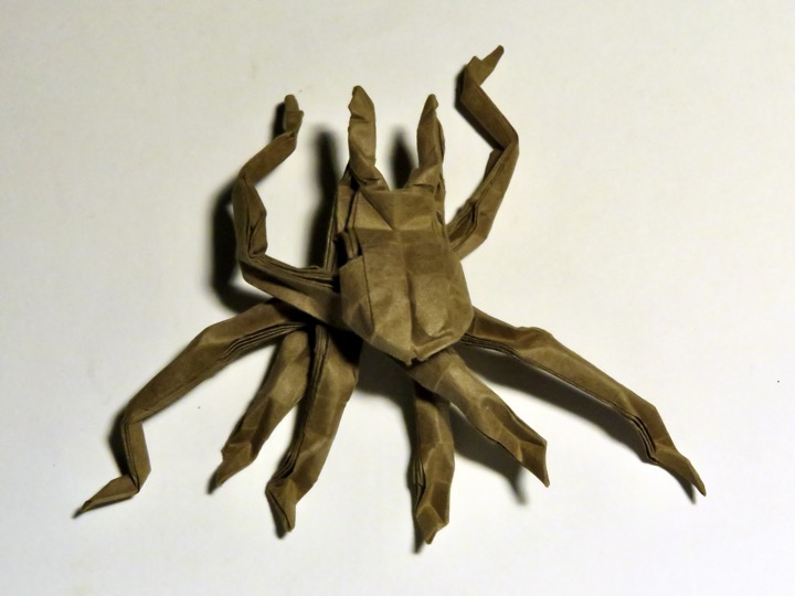 24. Spider (Kyohei Katsuta)