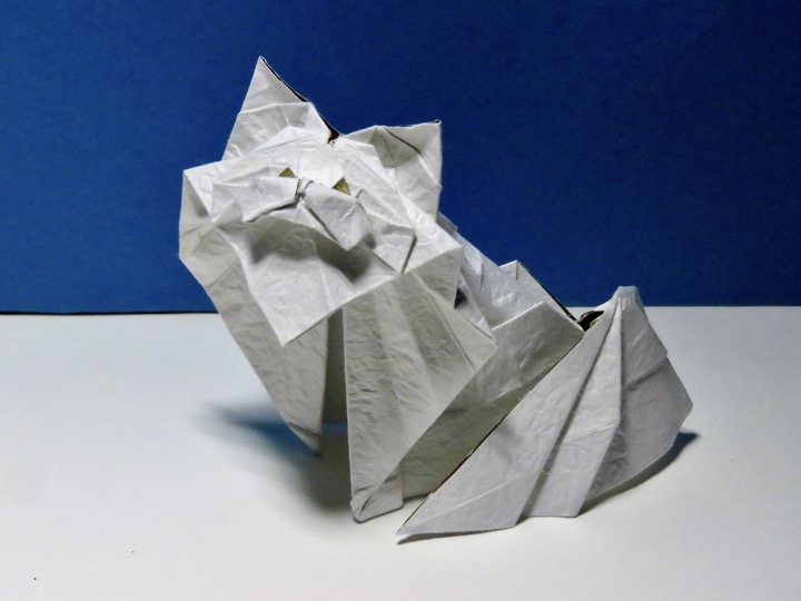 2. Persian cat (Kyohei Katsuta)