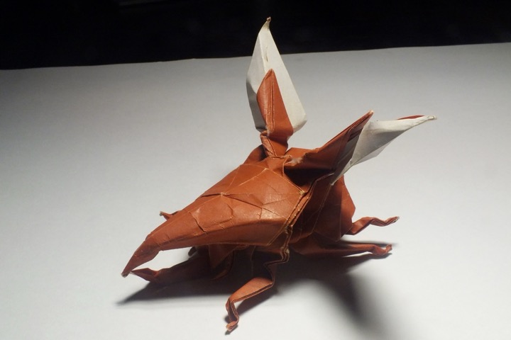 14. Hercules beetle (Satoshi Kamiya)