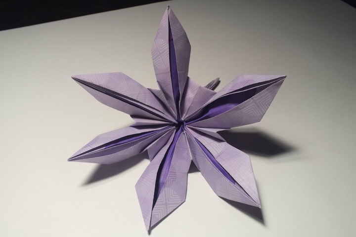4. Lily with six petals (David Shall)