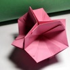 DSCF5017.jpg