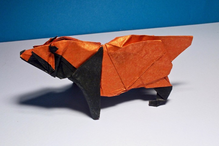 4. Racoon dog (Satoshi Kamiya)