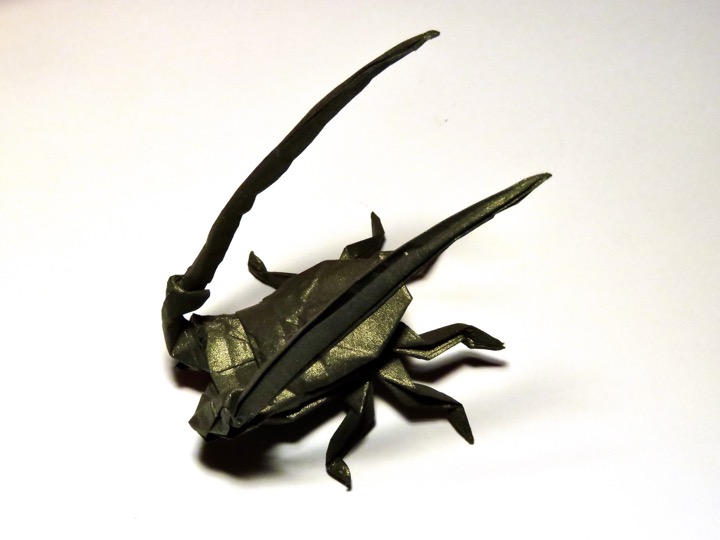 14. Longhorn beetle (Seiji Nishikawa)