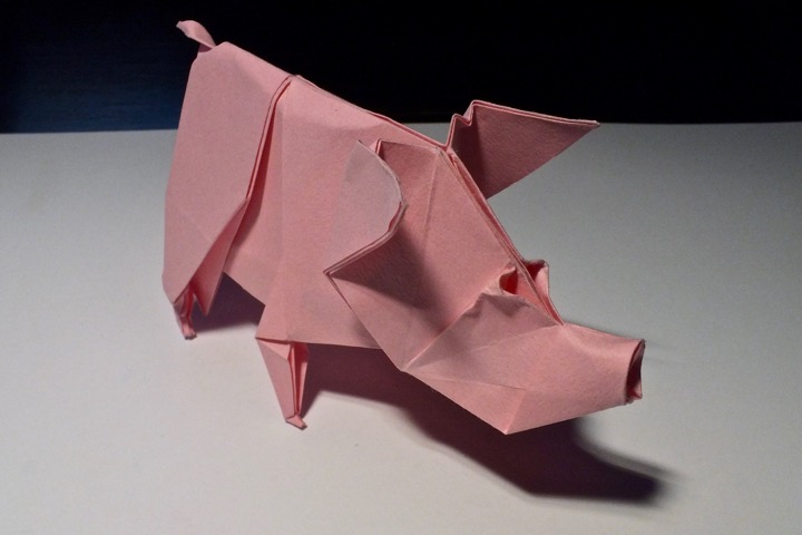 4. Pig (Quentin Trollip)