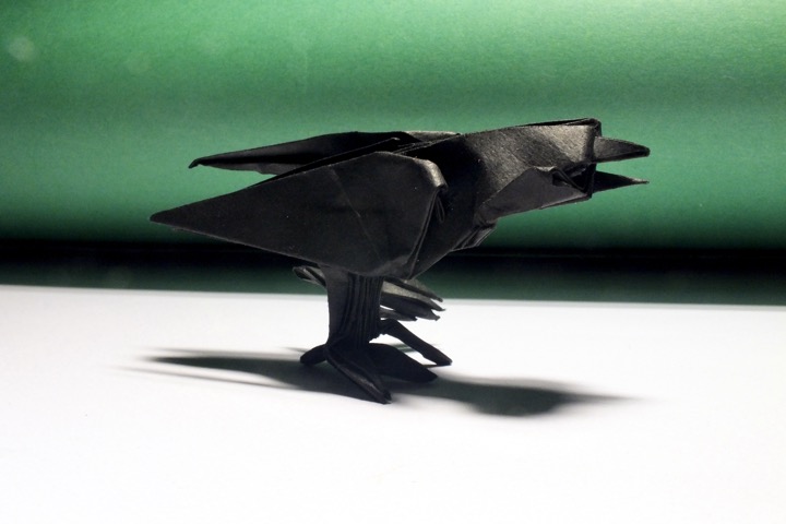 11. Raven (Quentin Trollip)