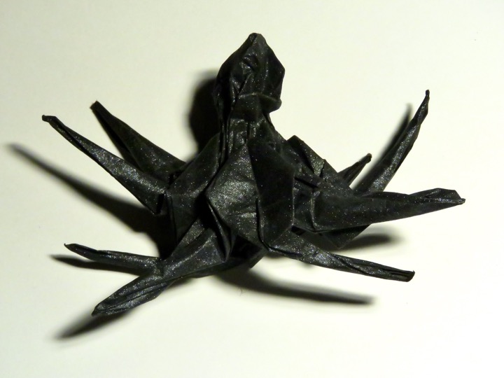 19. Wolf spider (J.C. Nolan)
