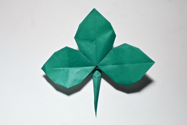 6. Rose leaves (Toshikazu Kawasaki)