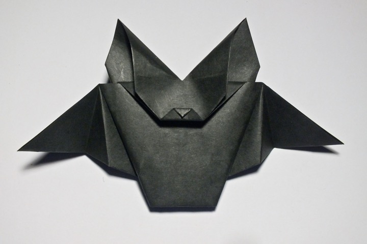 1. Bat (Natalia Romanenko)