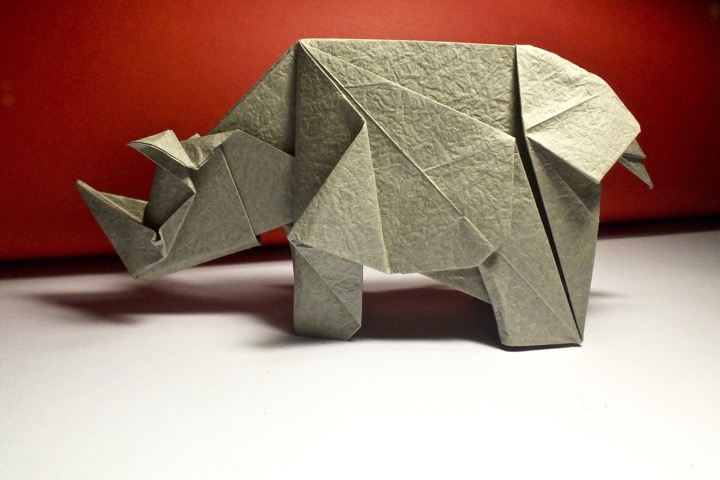 30. Rhinoceros (Roman Díaz)