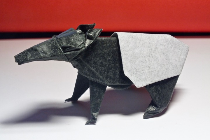 28. Malay tapir (Quentin Trollip)