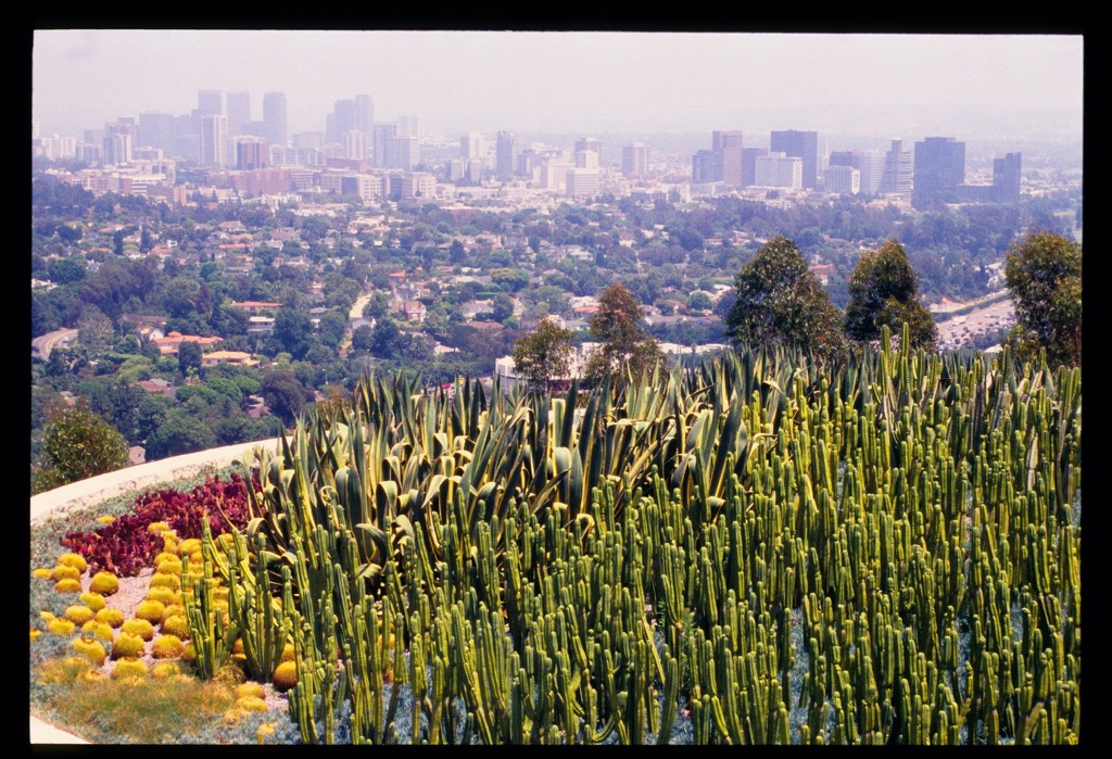 Getty Museum, Los Angeles, 06/2004