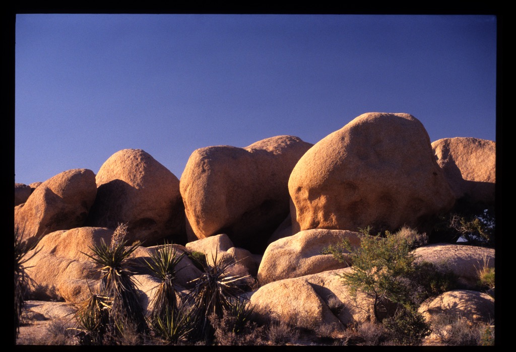 Joshua Tree National Park, 06/2004