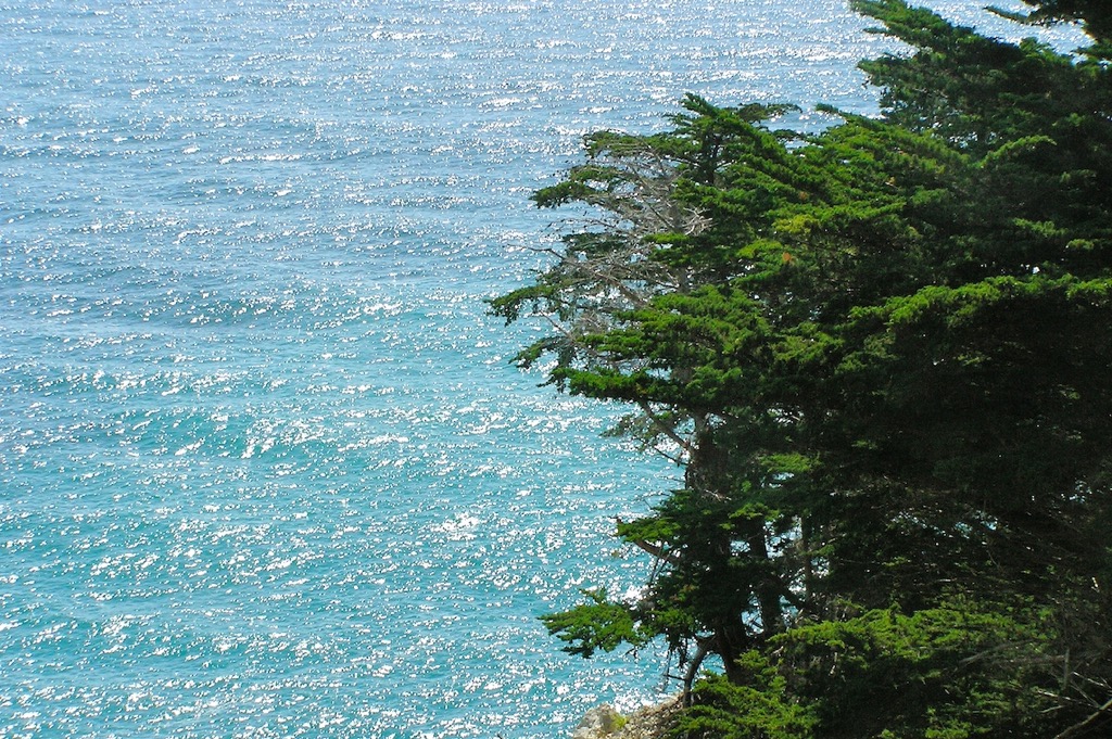 Big Sur, 06/2010