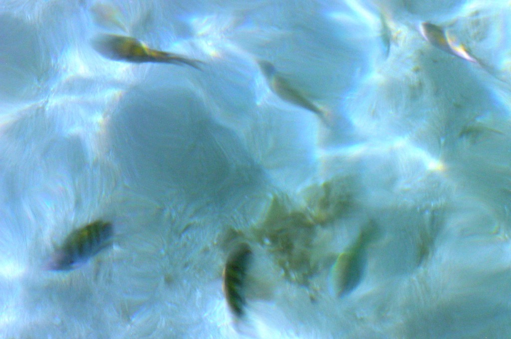 Laguna Azul, Ilha Grande, 08/2005