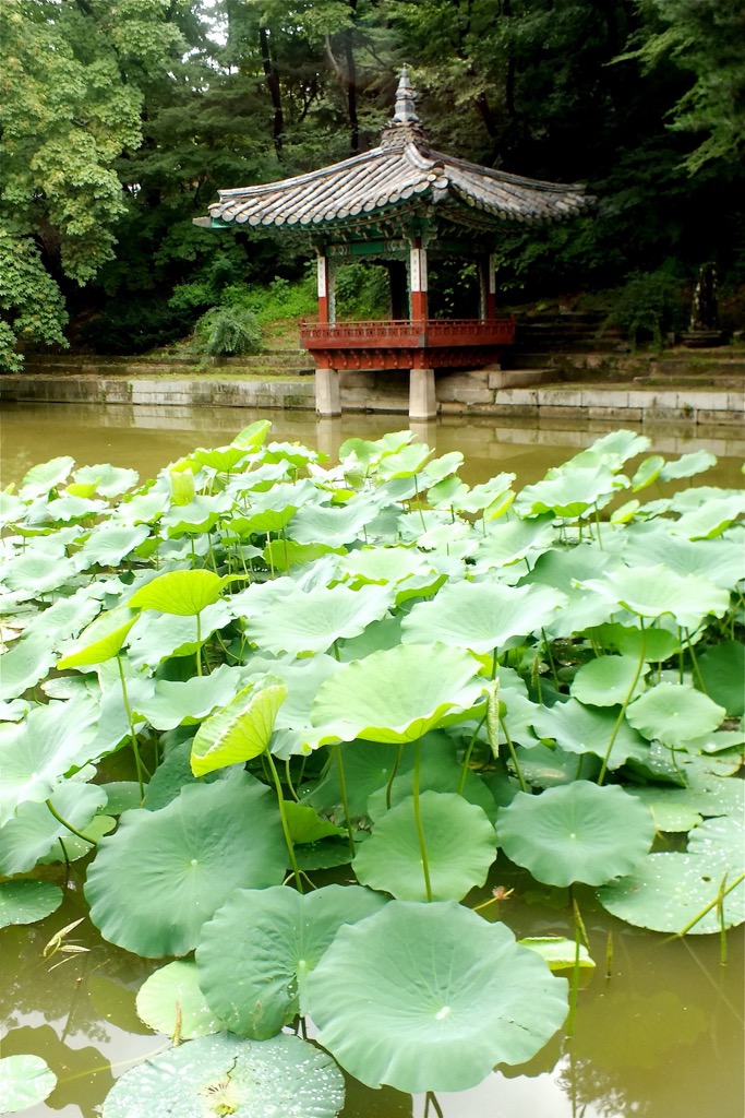 Huwon, Changdeokgung, Seoul, 08/2014