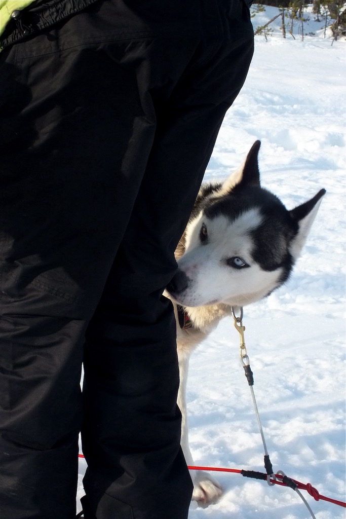 Inarijarvi, Inari, 02/2014