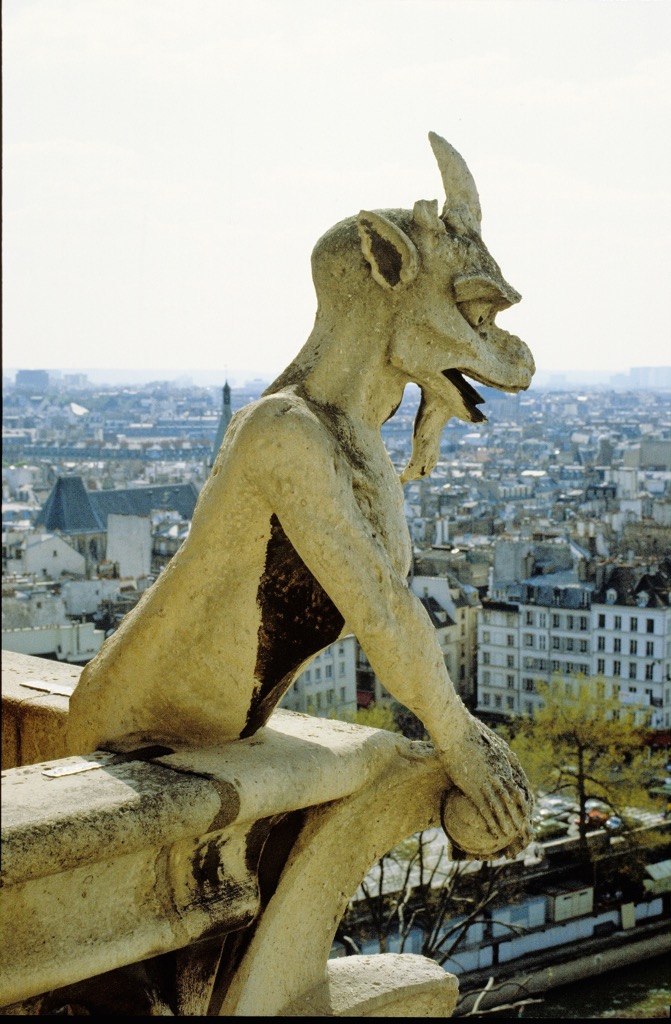 Notre-Dame, Paris, 05/1985
