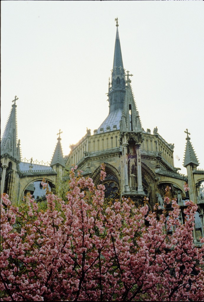 Notre-Dame, Reims, 05/1985