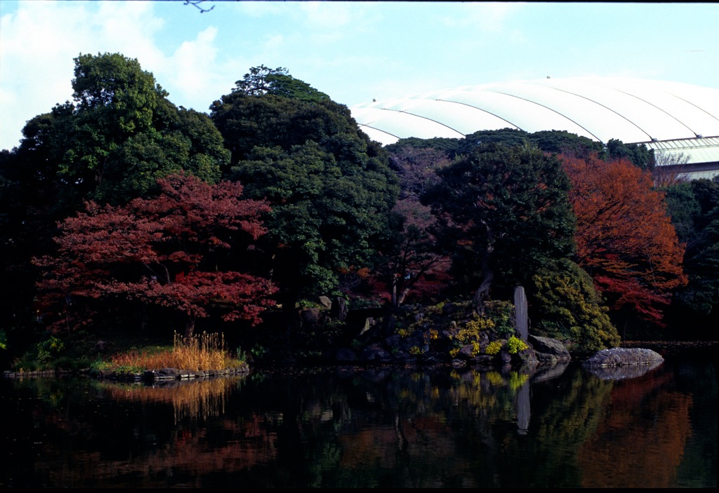 Koishikawa Koraku-en, Tokyo, 12/1999