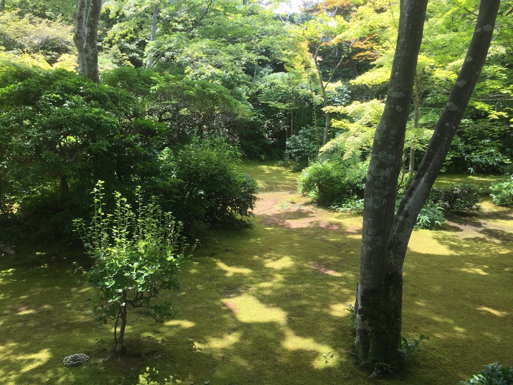 Okochi Sanso, Kyoto, 07/2017