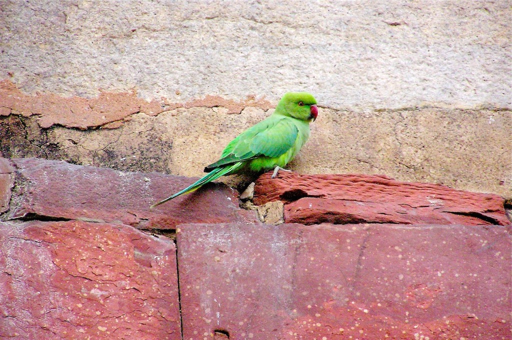 Purana Qila, Delhi, 08/2010