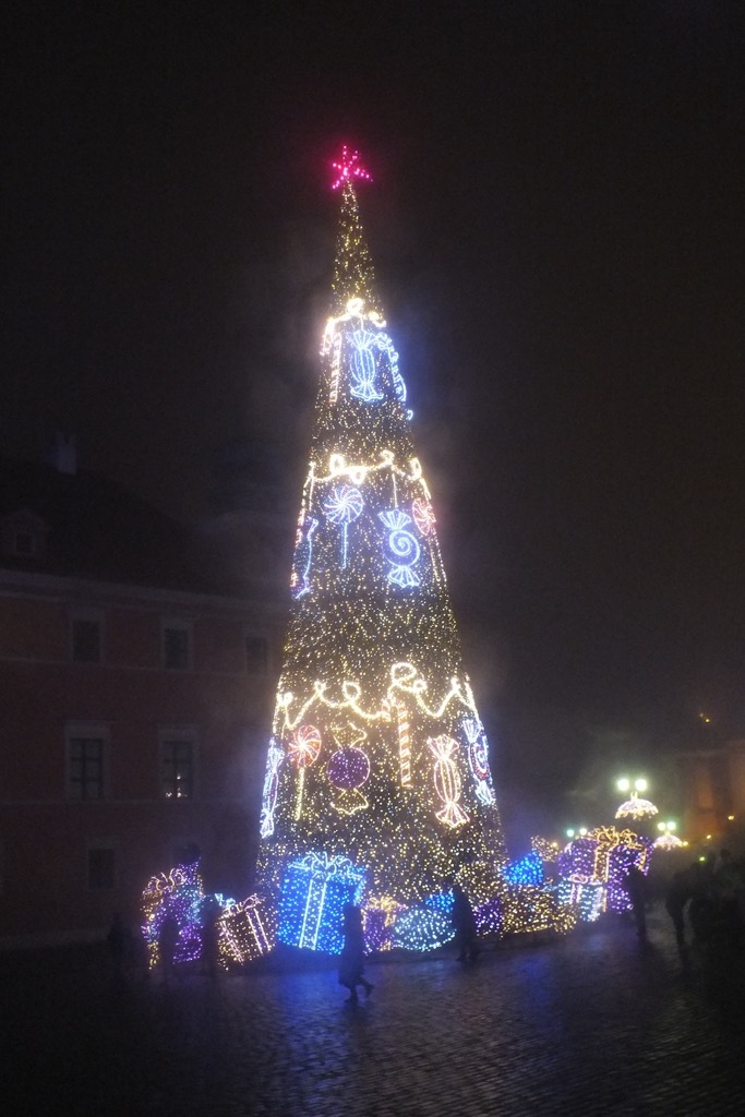 Plac Zamkowy, Warsaw, 12/2015