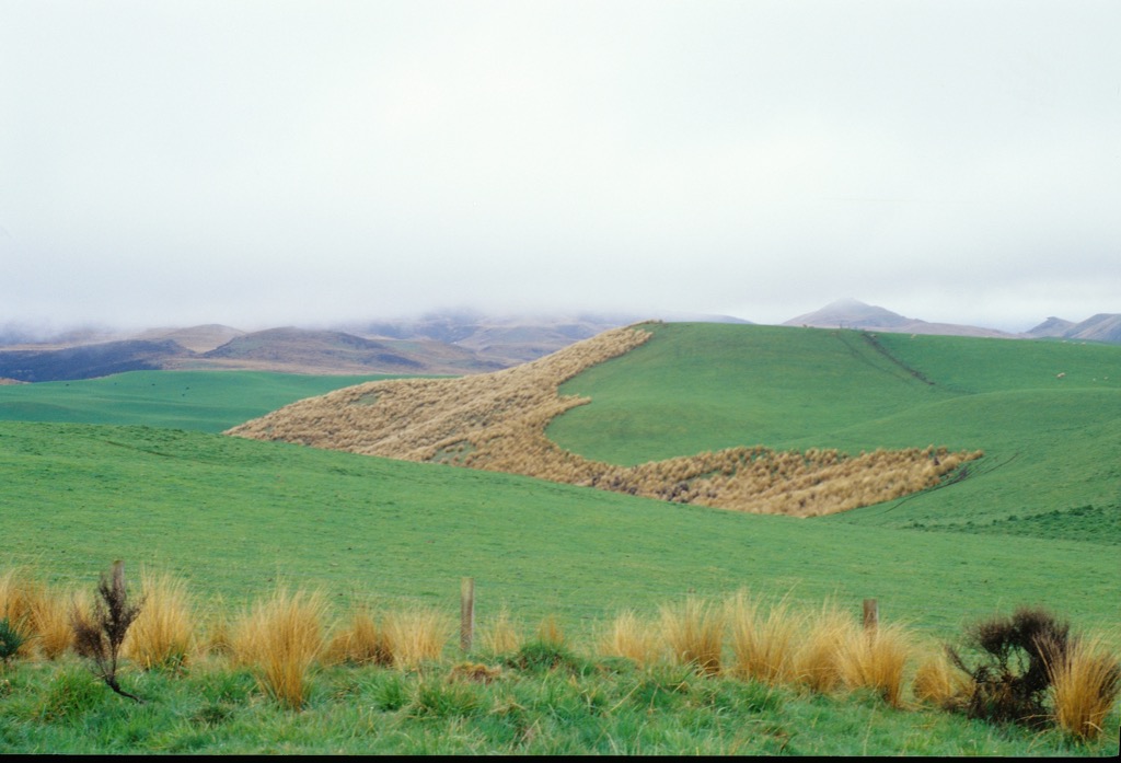 Tongarico National Park, 11/1999