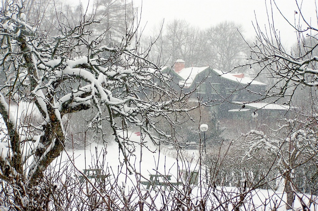 Gamla Uppsala, 02/2006