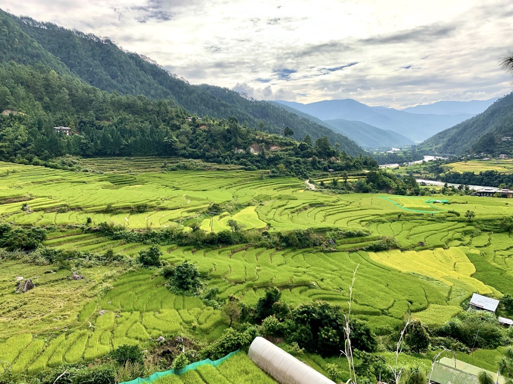 Punakha valley, 10/2022