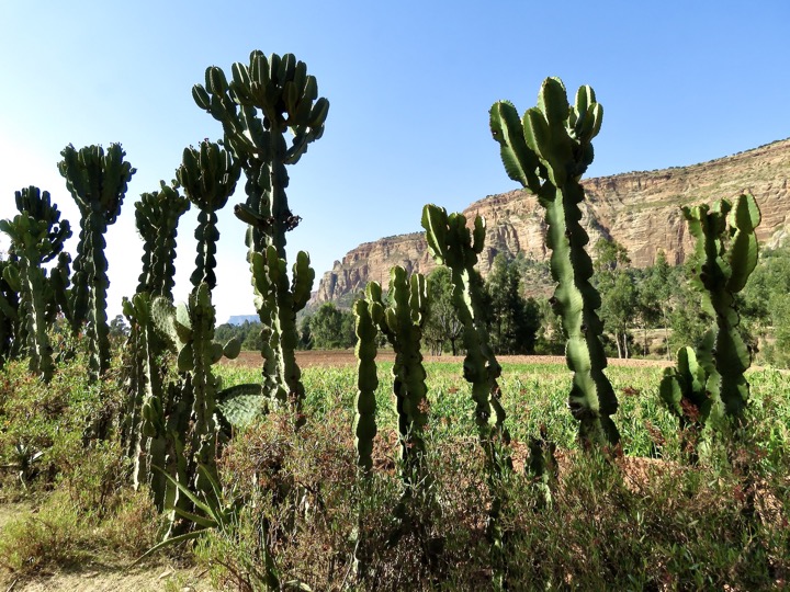 Tigray, 02/2024