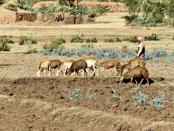 Tigray, 02/2024