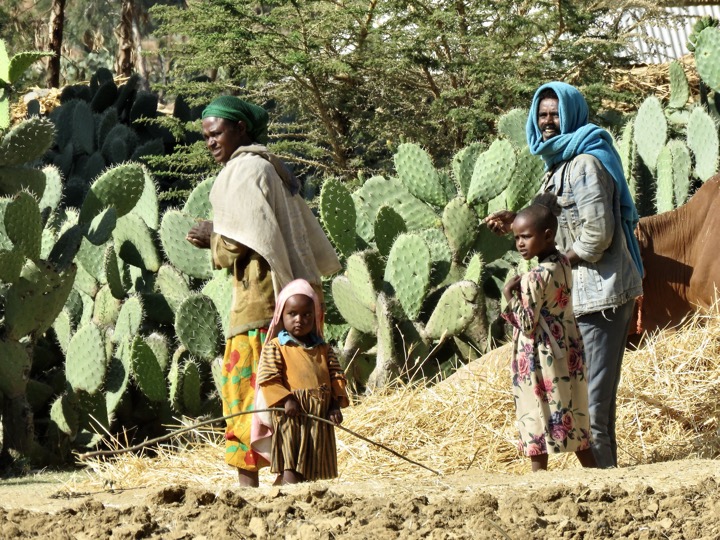 Tigray, 02/2024