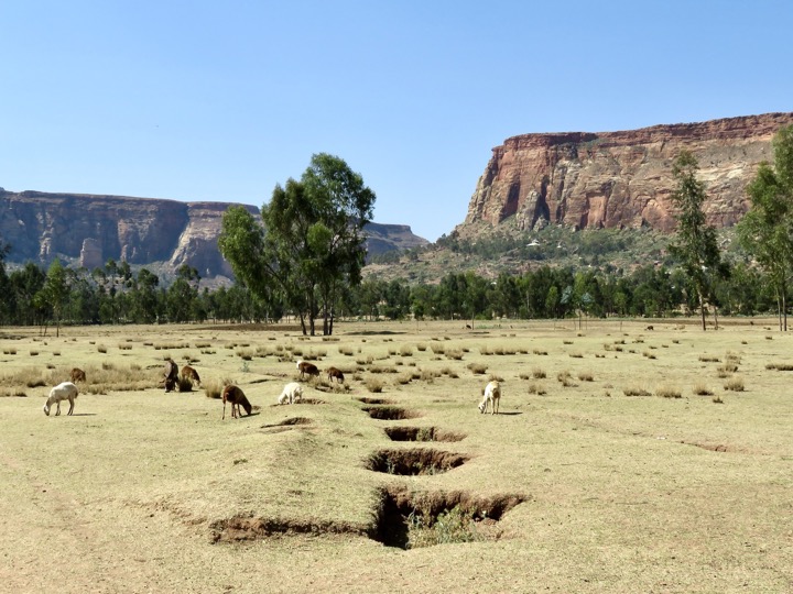 Tigray, 02/2024