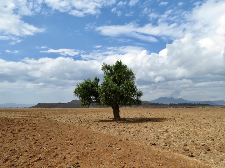 Shimbrity, Tigray, 02/2024