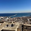IMG_5530.jpeg