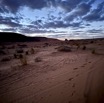 IMG_5608.jpeg