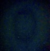 IMG_5641.jpeg