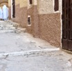 IMG_6655.JPG